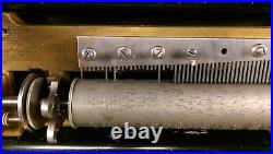 A Rare Antique Ideal Concertina Interchangeable Cylinder Swiss Music Box