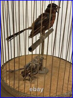 ANTIQUE BONTEMS FRENCH BIRD IN CAGE WITH ANIMATION And Sound