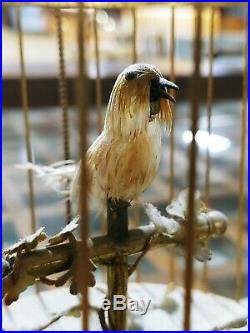 Antique 11 Bontems Singing Bird in Cage Music Box from France WORKS