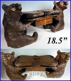 Antique Black Forest 8.5 Sitting Bears Music Box, Child Musical Stool or Table