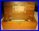 Antique-Cylinder-COLUMBIA-Music-BoxPlays-10-TunesPatented-1894Beautiful-Case-01-wczh