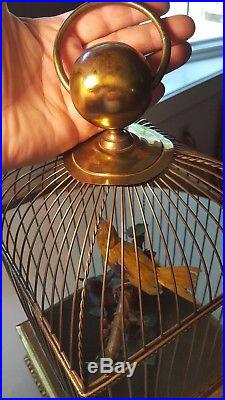 Antique Double Singing Bird Music Box France Large Animated Sound Video Added