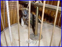 Antique French Automation Double Singing Bird Cage with Hand Crank