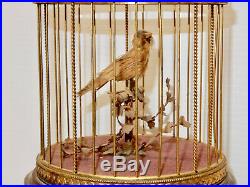 Antique French Automaton Singing Bird In Cage