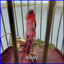 Antique German Brass Singing Bird Cage Music Box Automaton Karl Griesbaum NR