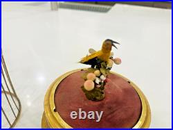 Antique German Karl Griesbaum Singing Bird Cage Music Box Sold As Is Parts