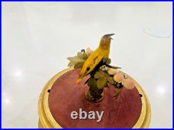 Antique German Karl Griesbaum Singing Bird Cage Music Box Sold As Is Parts