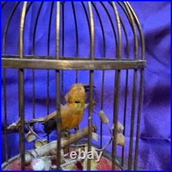 Antique Karl Griesbaum Singing Bird in a Cage Music Box German Automaton Brass
