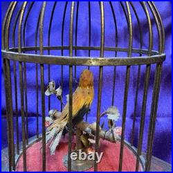 Antique Karl Griesbaum Singing Bird in a Cage Music Box German Automaton Brass