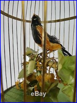 Antique Large Bontems SINGING BIRDS in CAGE Key Wind-Up 23H 1800s Works