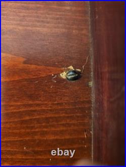 Antique/Vintage 19th C. REGINA Victorian Table Top Music Box -Plays 15.5 Discs