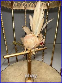 Antique automaton singing bird in cage Mechanical Reuge Music. Works