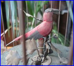 Antique singing bird in cage music box automaton ca1900, good working condition