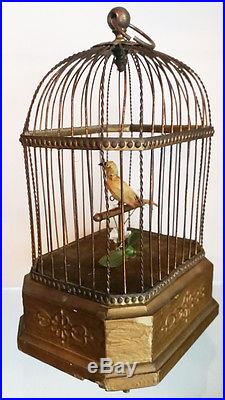 Beautiful German Automaton Singing Bird Music Box C-1880