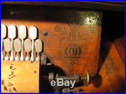Concertina Roller Organ Cob music box + 12 Cobs