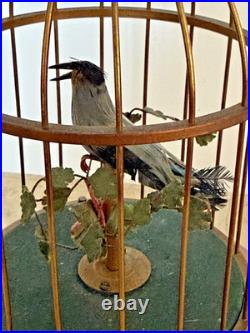 Defective Vintage German Karl Griesbaum Singing Bird Cage Automaton Musi G3d