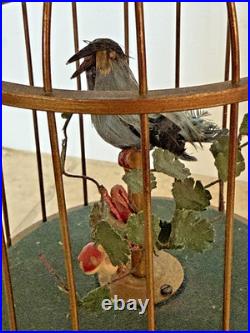 Defective Vintage German Karl Griesbaum Singing Bird Cage Automaton Musi G3d