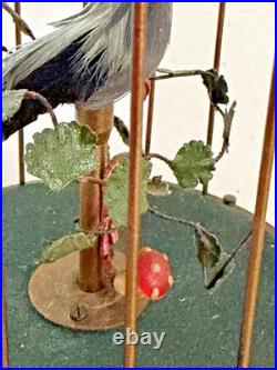 Defective Vintage German Karl Griesbaum Singing Bird Cage Automaton Musi G3d