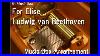 For-Elise-Ludwig-Van-Beethoven-Music-Box-01-mui