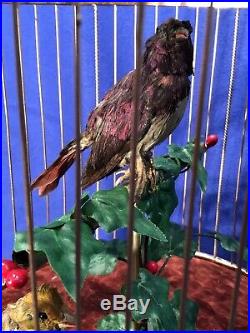 Large 2 Birds Antique France singing automaton Birds Cage music Box, tall 21 Inch