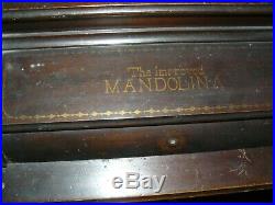 Mandolina improved orguinet roller organ very nice