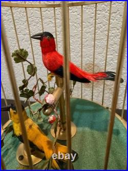 Mid-Century German Singing Bird Automaton Brass Cage Two Birds Working BOX