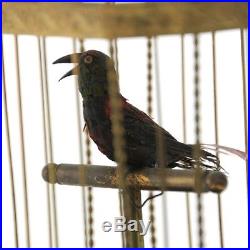 Rare German Antique Singing Bird Cage Automaton Music Box Karl Griesbaum Ca 1880