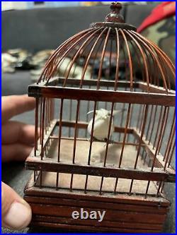 Rare Vintage Bird Cage Automaton Lights Up/chirps When Tapped No Movement