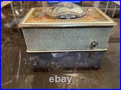 STUNNING SILVER BIRD AUTOMATON MUSIC BOX WithPAINTING AND GEMS BIRD MOVES