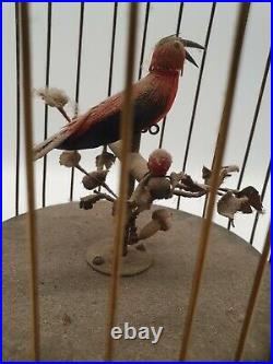 Singing bird in a cage automaton