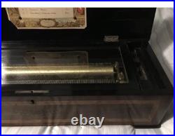 Tremolo Zither Music Box