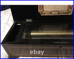 Tremolo Zither Music Box
