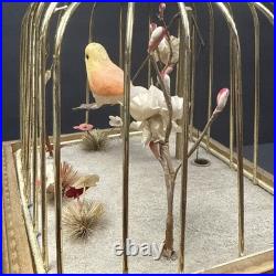 VTG Mechanical Animated Singing Bird Musical Jewelry Drawer Brass/Wood Working
