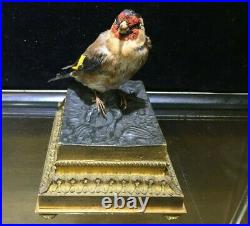 Very Fine and Rare Ormolu Bronze Taxidermy Goldfinch Singing Bird Automaton