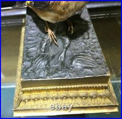 Very Fine and Rare Ormolu Bronze Taxidermy Goldfinch Singing Bird Automaton