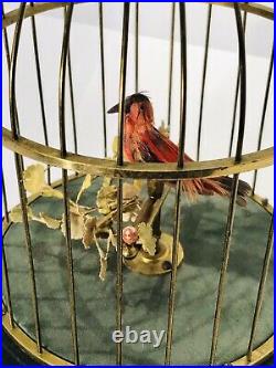 Vintage Antique Germany singing automaton Birds Cage music Box, excellent Work