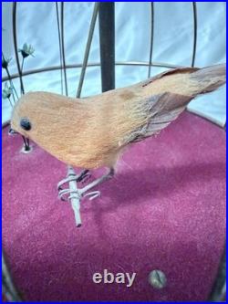 Vintage Antique Wind-Up Bird in a Cage Music Box and Jewelry Box WORKS