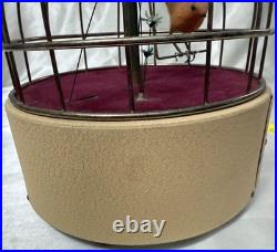Vintage Antique Wind-Up Bird in a Cage Music Box and Jewelry Box WORKS