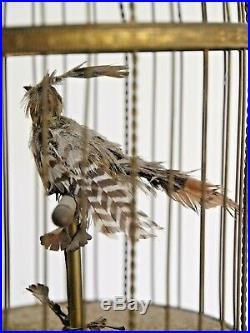 Vintage French Automaton Singing Bird In Cage 1900-1940