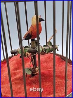 Vintage German Brass Cage Singing Automaton Bird Music Box (works! No sound)