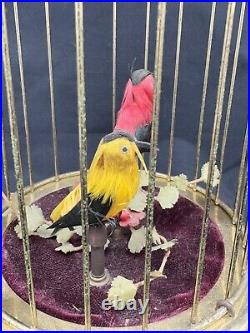 Vintage Germany Automaton Singing Bird Musical Cage, Read