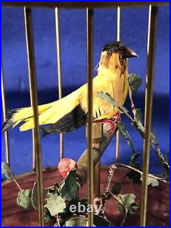 Vintage Germany Brass Cage Singing Automaton Birds Music Box, Key Wound