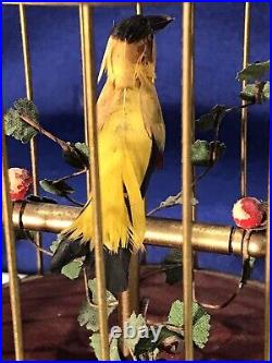 Vintage Germany Brass Cage Singing Automaton Birds Music Box, Key Wound