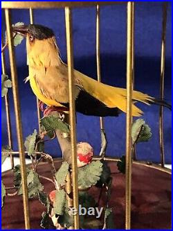 Vintage Germany Brass Cage Singing Automaton Birds Music Box, Key Wound