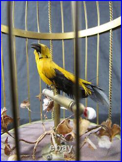 Vintage Karl Griesbaum Automaton Caged Singing Canary Pre WWII Germany