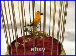Vintage MADE IN GERMANY MECHANICAL SINGING BIRD IN A CAGE PARTS OR REST