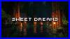 You-Just-Need-Some-Rest-Minecraft-Music-Box-U0026-Ambience-01-xa